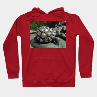 Many hands caressed this turtle Hoodie